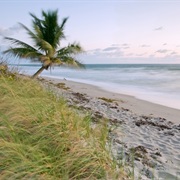 John U. Lloyd Beach State Park, Florida