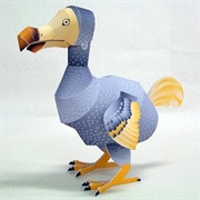 Paper Dodo Bird