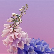 Innocence - Flume, Alunageorge