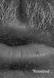 Rosebud....- Citizen Kane (1941)