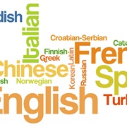 Master a Foreign Language