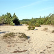 Błędów Desert