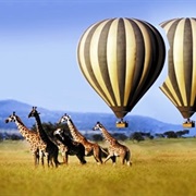Masai Mara Balloon Safari