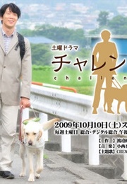Challenged (2009)