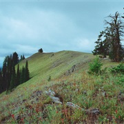 Umatilla National Forest