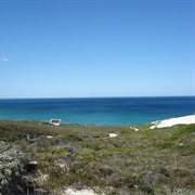 Lie Watching the Whales on an Almost Deserted Beach