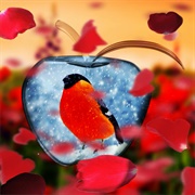 Snow Bird Angelina Jensen