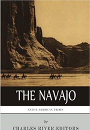 The Black Hills (Louis L'amoir)