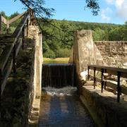 Penn-Roosevelt State Park