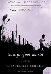 In a Perfect World (Laura Kasischke)