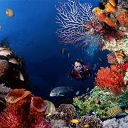 Bunaken National Park, Sulawesi, Indonesia