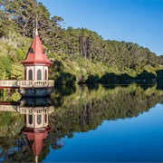 Zealandia Ecosanctuary