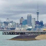 Akarana Trail (North Shore)