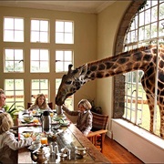 Giraffe Manor, Kenya