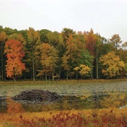 Patuxent Research Refuge