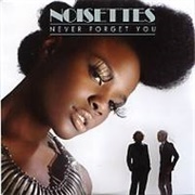 Never Forget You - Noisettes