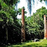 Old Cahawba Archaeological Park