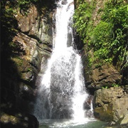 La Mina Falls, Puerto Rico