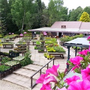 Speyside Center Heather Display Gardens
