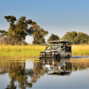 Game Drive in Okawango Delta, Botswana