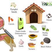 Herbal Dewormer Instead of Veterinary Dewormer