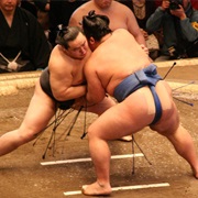 Sumo