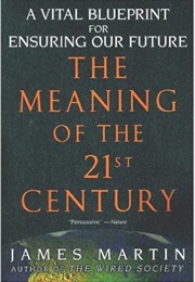The Meaning of the 21st Century (James Martin)