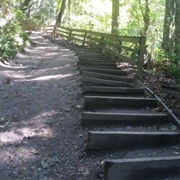 Meadowdale Beach Park (Edmonds, Washington)