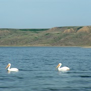 Lake Diefenbaker