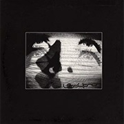 Ladytron — Cracked LCD