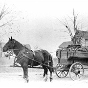 Horse and Wagon