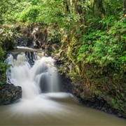Tawau Hills Park, Malaysia