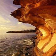 Maria Island National Park (TAS)