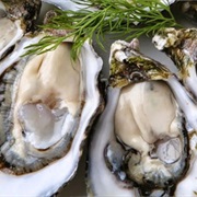 Mussels, Clams, Oysters