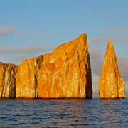 Swim With Sharks in Kicker Rock, Galapagos Islands