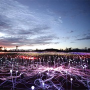 Field of Light