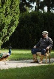 Plus Minus, Czyli Podróże Muchy Na Wschód (2015)