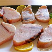 Shark Meat