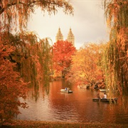 Visit Central Park, New York