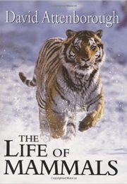 The Life of Mammals (David Attenborough)