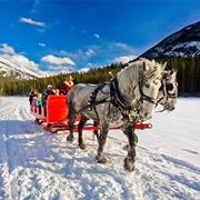 Horse-Drawn Sleigh Ride
