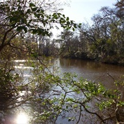 Covington, Louisiana