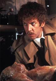 Invasion of the Body Snatchers (1978)