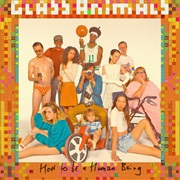 The Other Side of Paradise - Glass Animals