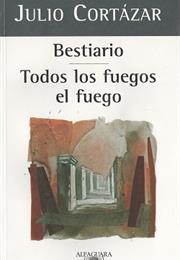 Todos Los Fuegos El Fuego