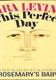 This Perfect Day