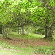 Stenshuvud National Park, Sweden