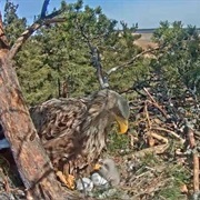 Silma Nature Reserve, Estonia