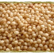 Grain Amaranth