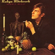 Robyn Hitchcock - Groovy Decay